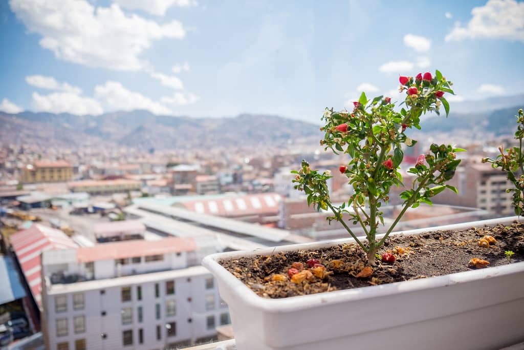 Cooking class in Cusco - View from Rooftop Kitchen.
