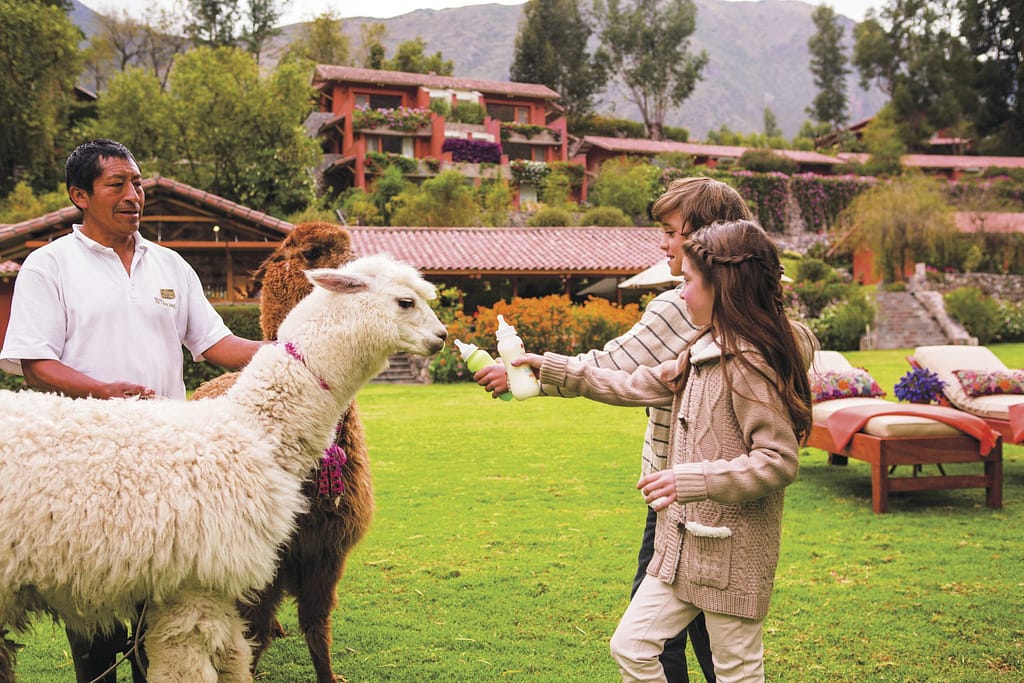 Luxury hotels in Sacred Valley - Kids feeding alpacas at Belmond hotel.