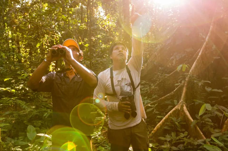 Écotourisme en Amazonie – Apprendre, se détendre, découvrir