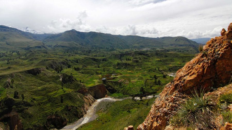 Pourquoi devriez-vous faire une randonnée dans le canyon de Colca au Pérou